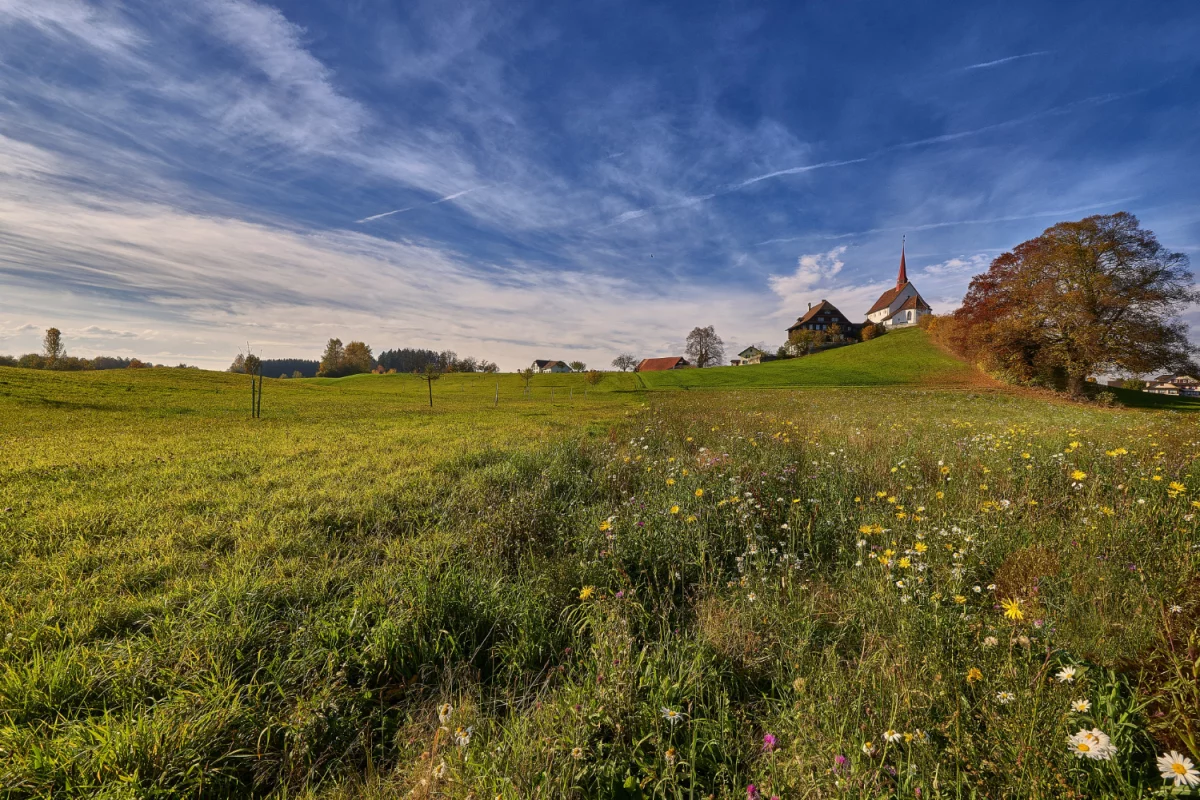 Mindfulness i medytacja dla zapracowanych nauczycieli
