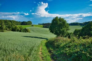 Zadbaj o zdrowie: 7 prostych kroków do lepszego samopoczucia!