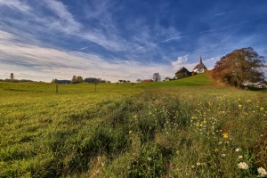 Mindfulness i medytacja dla zapracowanych nauczycieli